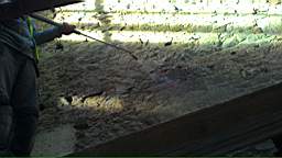 acastle
                          102310.jpg
